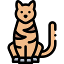 Gato icon