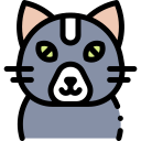 Gato icon