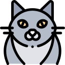 Gato icon