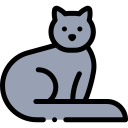 Gato icon