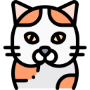 Gato icon