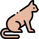 Gato icon