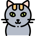 Gato icon