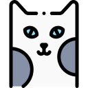 Gato icon