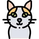 Gato icon