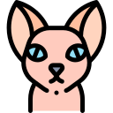 Gato icon