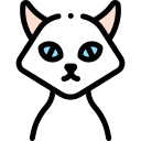 Gato icon