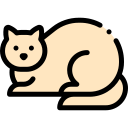 Gato icon