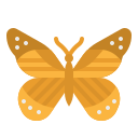 Mariposa icon