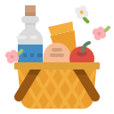 picnic icon