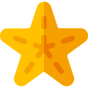 Estrella de mar