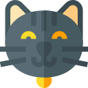 Gato icon