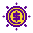 Coin icon