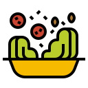 Ensalada icon