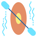 kajak 