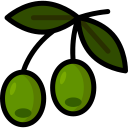 Aceituna icon