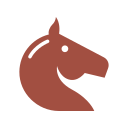 Caballo icon