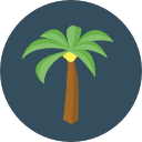 palmera icon