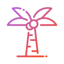 Palmera icon