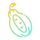 papaya icon