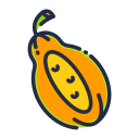 papaya icon