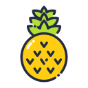 Piña icon