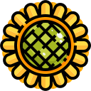 Girasol icon