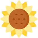 Girasol icon