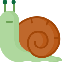 Caracol icon