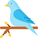 Pájaro icon