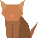 gato icon