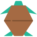 tortuga icon