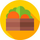 Vegetales icon