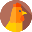 Pollo icon