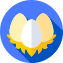 Huevos icon