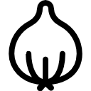 Onion icon