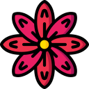 Calêndula 