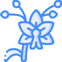 Orquídea icon