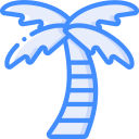 Palmera icon