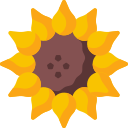 Girasol icon