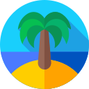 Palmera icon