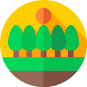 Bosque icon