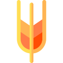 trigo icon