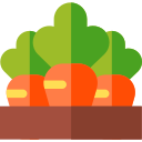 zanahorias icon