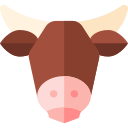 vaca icon