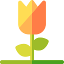 tulipán icon