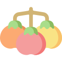 tomates 
