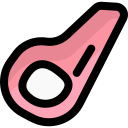 carne icon