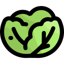 couve-flor icon