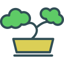 bonsai icon